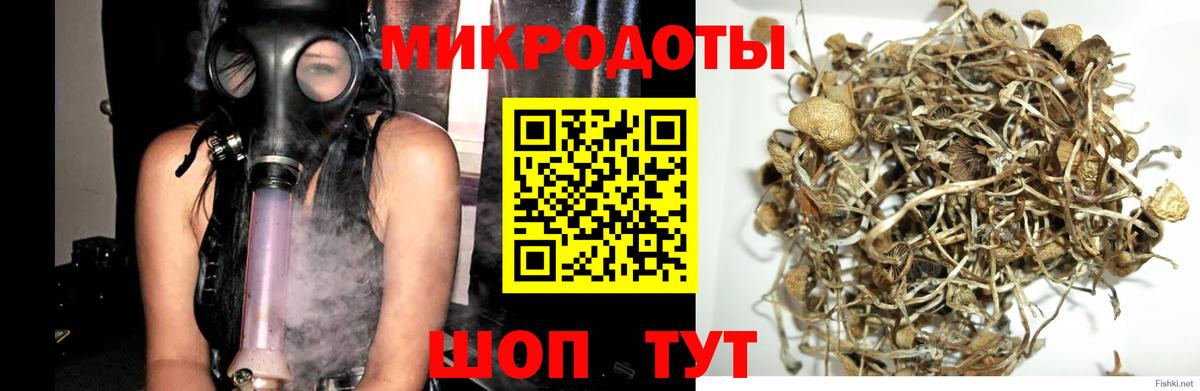 где можно купить наркотик  Псилоцибиновые грибы Magic Shrooms  Вход с VPN  Карачаевск 